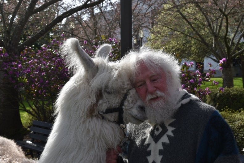 Llama, Black Lives Matter, Protests