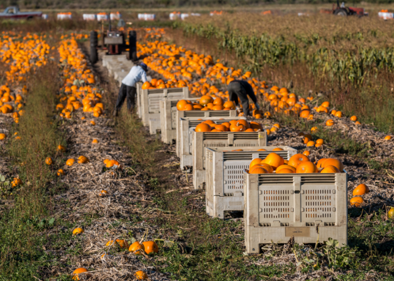 #69. Farmworkers and laborers, crop, nursery, and greenhouse