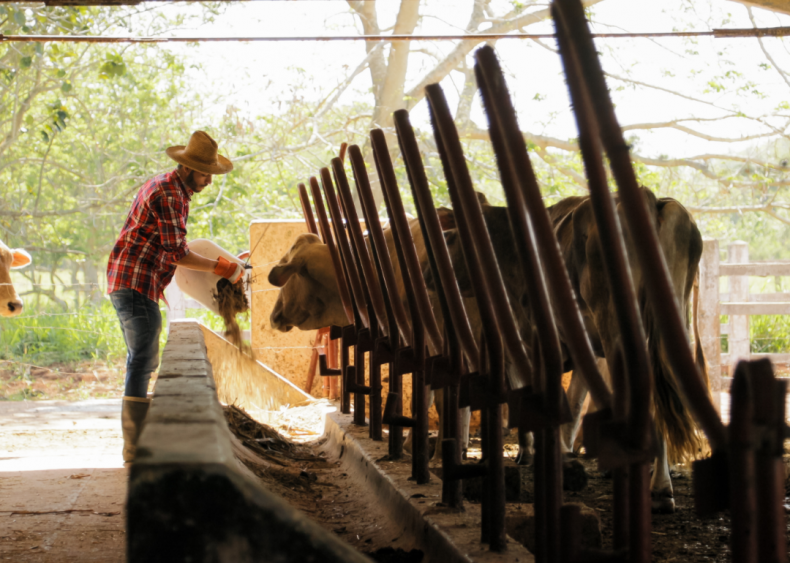#57. Farmworkers, farm, ranch, and aquacultural animals