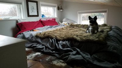 tiny homes, sustainable living tiny homes, sustainable living