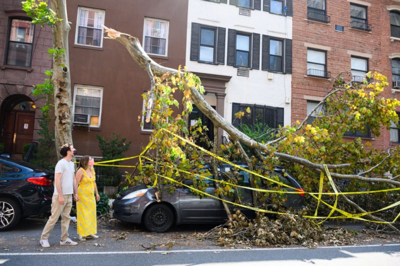 Tropical Storm Isaias Tree NYC