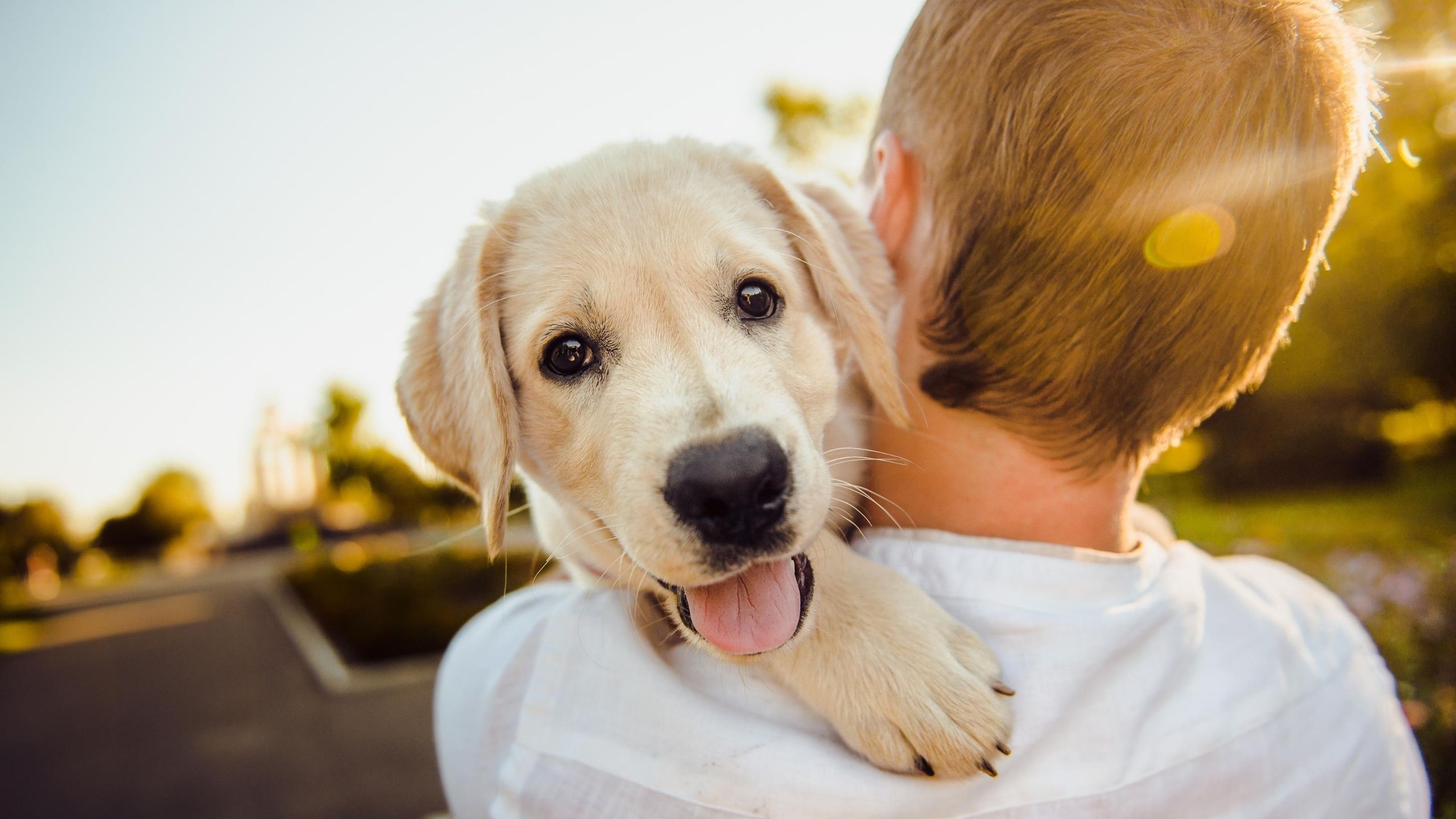 what do you need when bringing home a new puppy