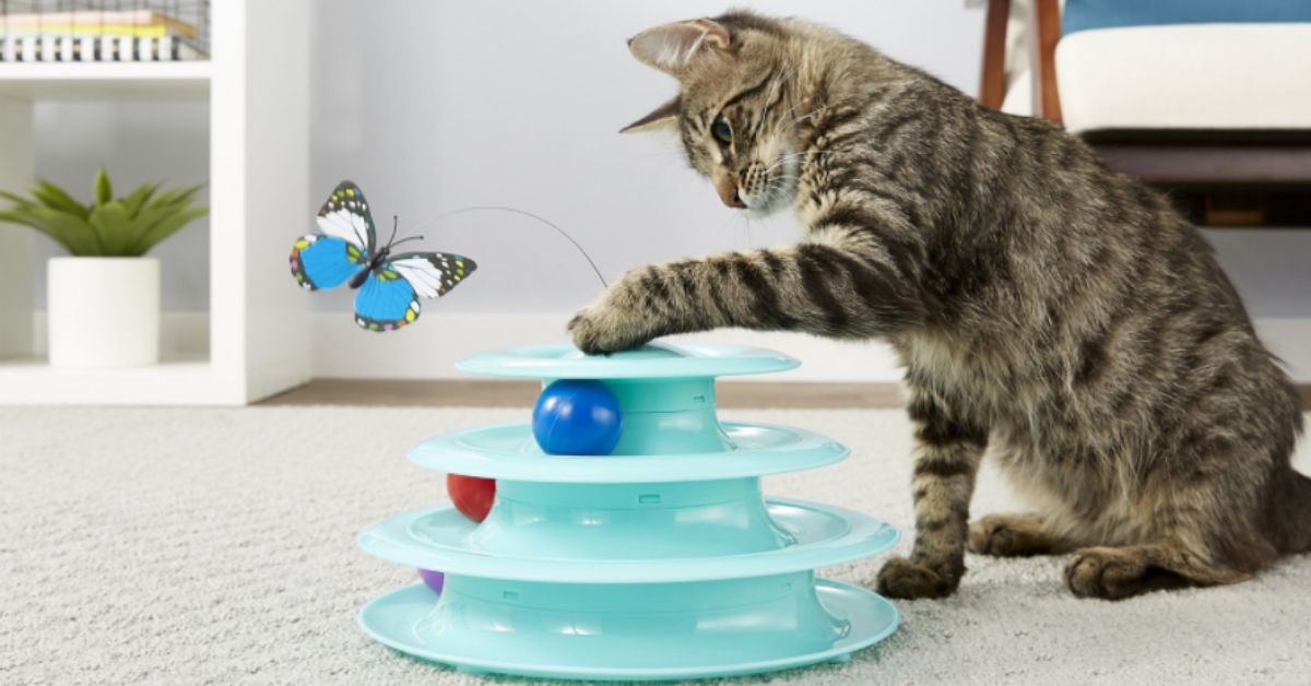 best interactive cat toys