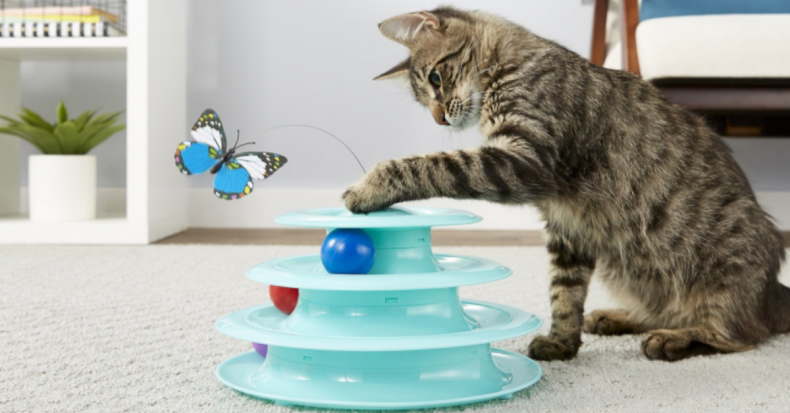 Newsweek AMPLIFY - Interactive Toys Cat