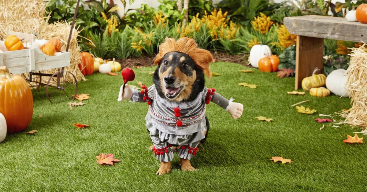 15 dogs who are costume-ready for Halloween