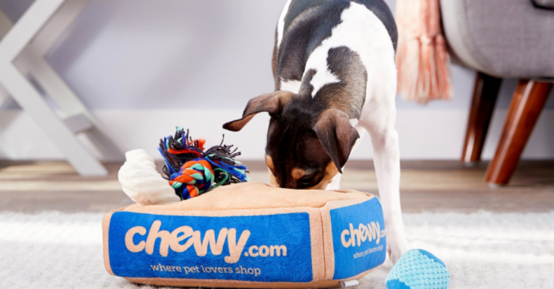 Newsweek AMPLIFY - Interactive Dog Toys