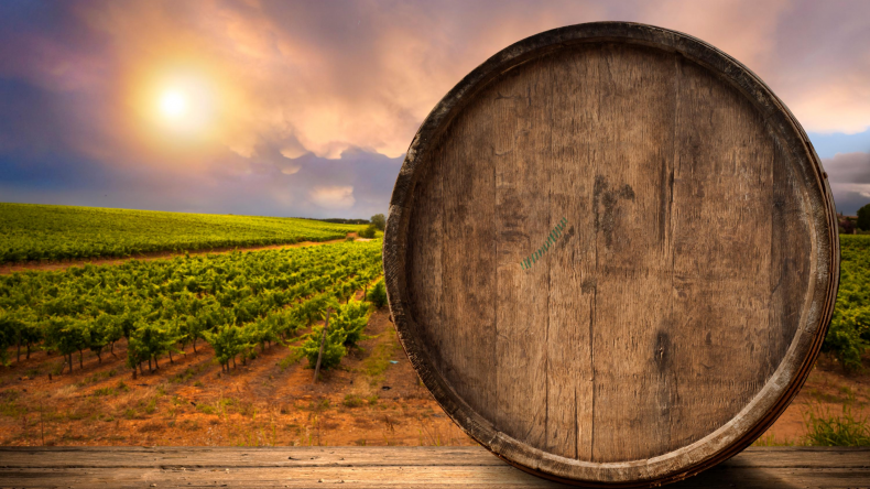 Newsweek AMPLIFY 30 Fun Facts About Wine