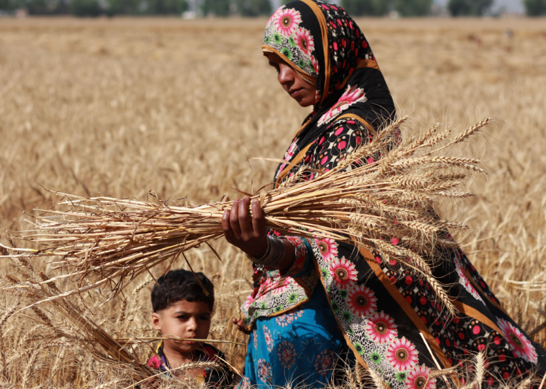 Food production accounts for 26% of global emissions