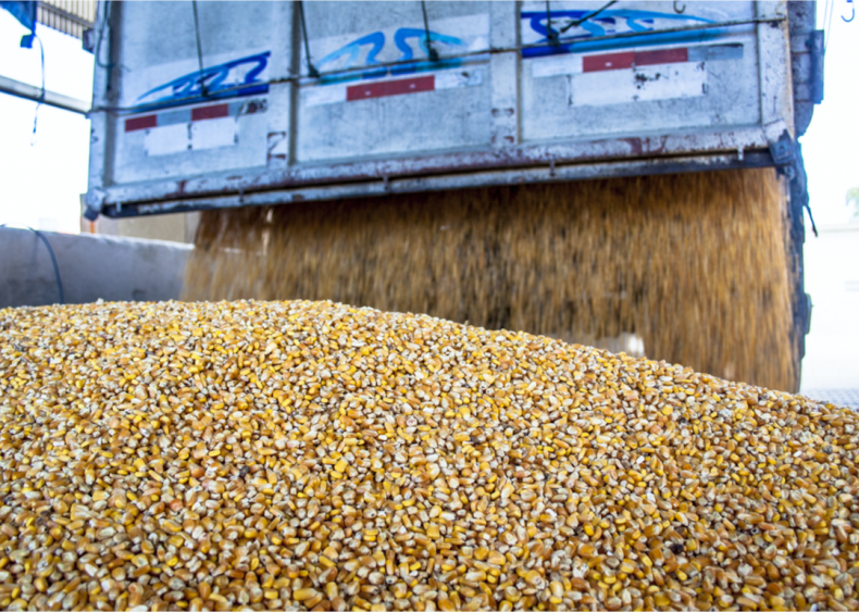 Producing animal feed has big impacts