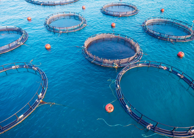 Aquaculture can feed demand in beneficial ways