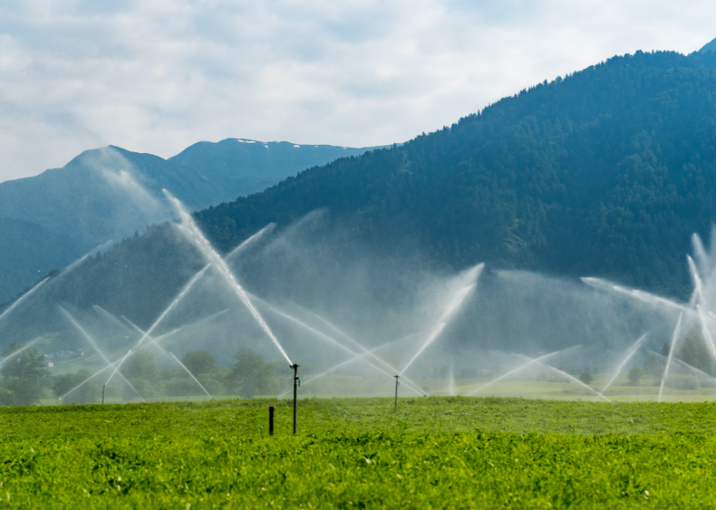 Water requirements vary among crops