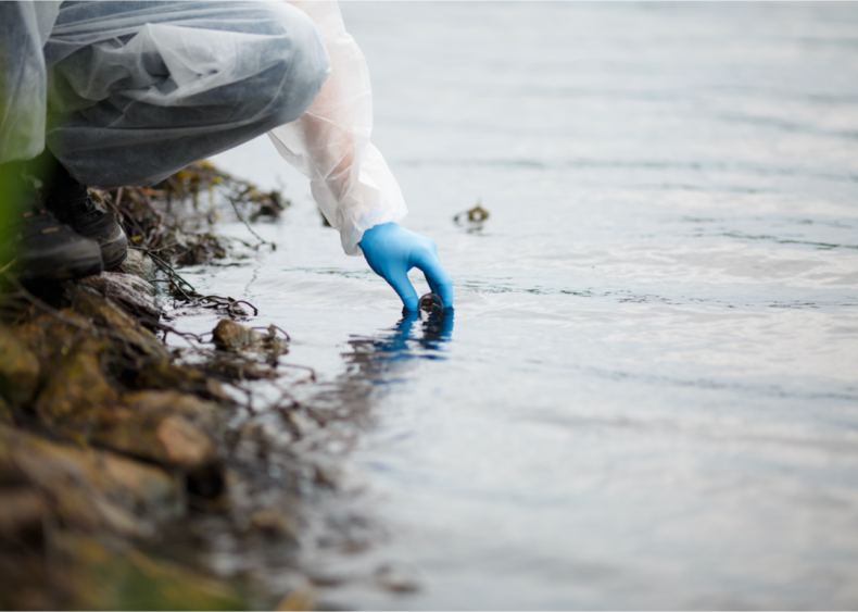 Agriculture degrades water quality