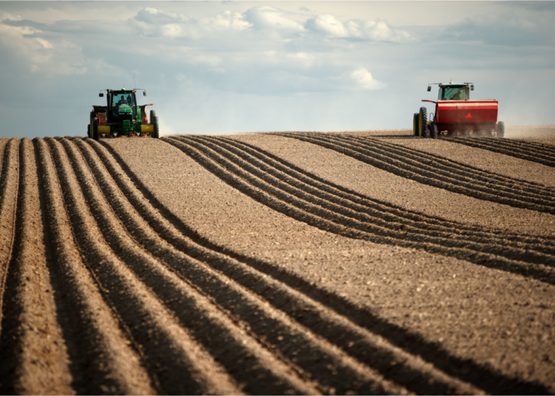 Single-crop farms have environmental downsides