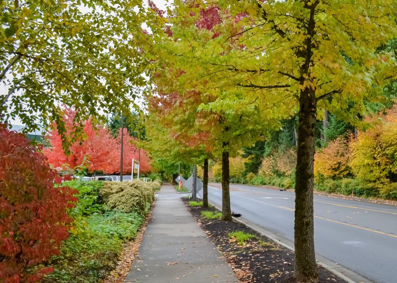 Washington: Redmond