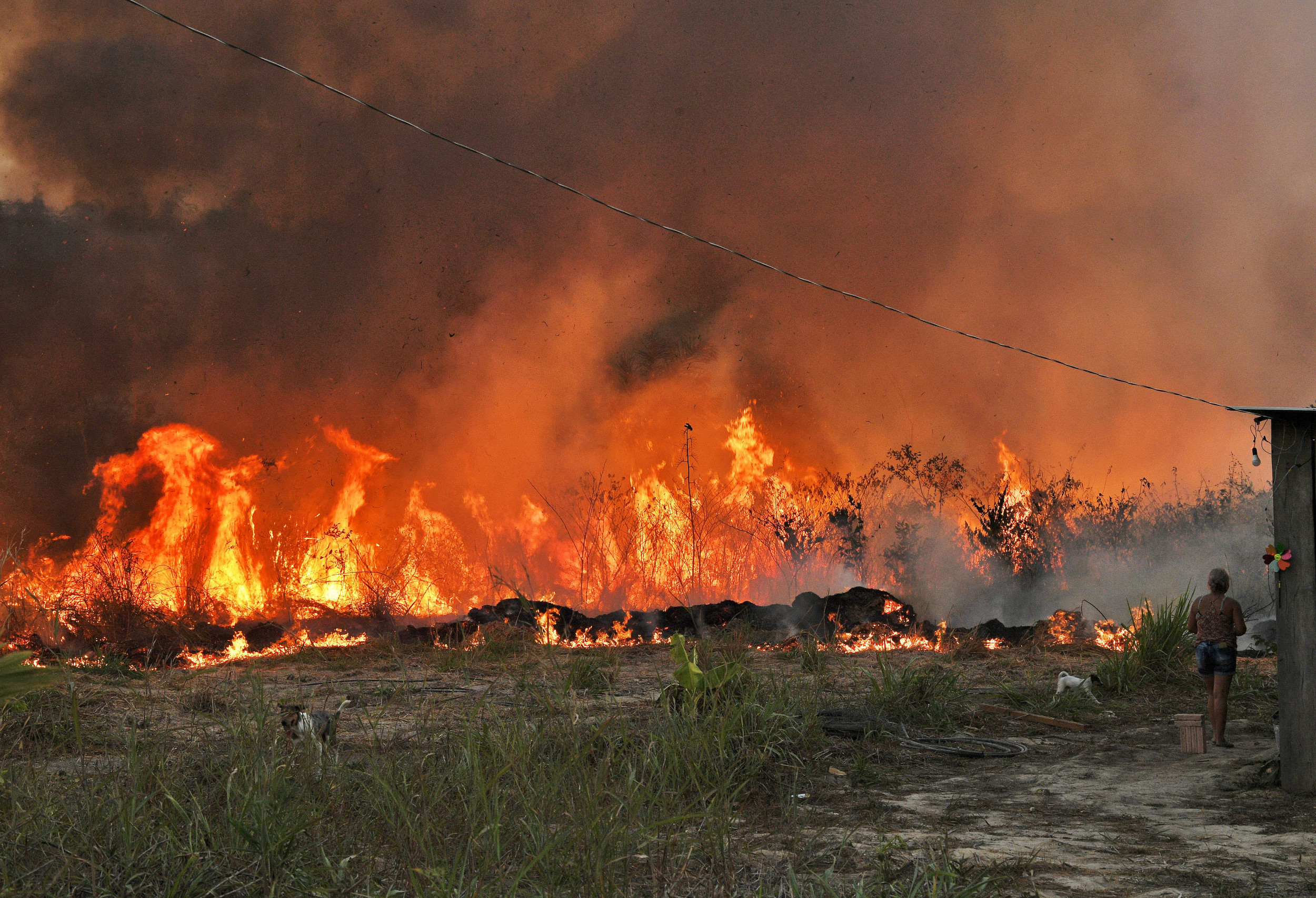The Amazon Rain Forest Is Once Again On Fire And This Time It S Worse