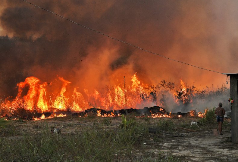 Amazon Wildfire