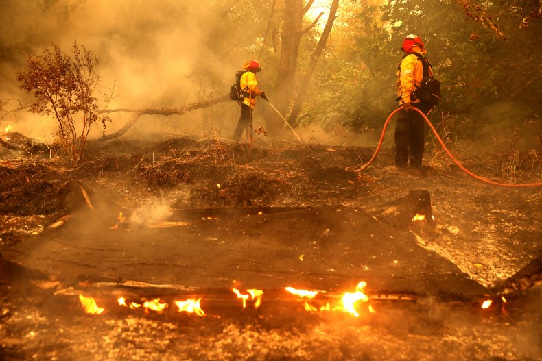 California Firefighters