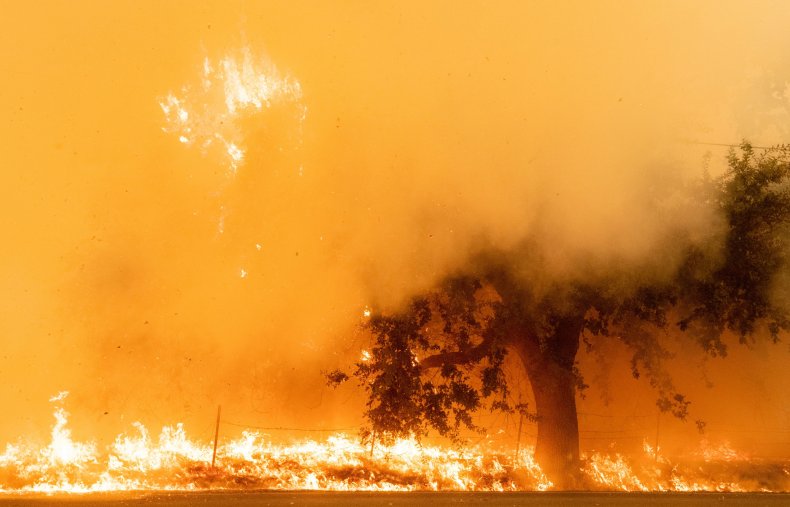 Wildfires Smoke California