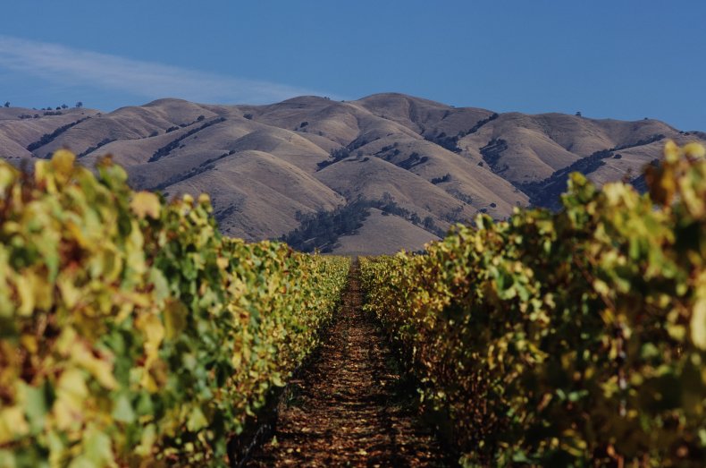 Salinas Valley