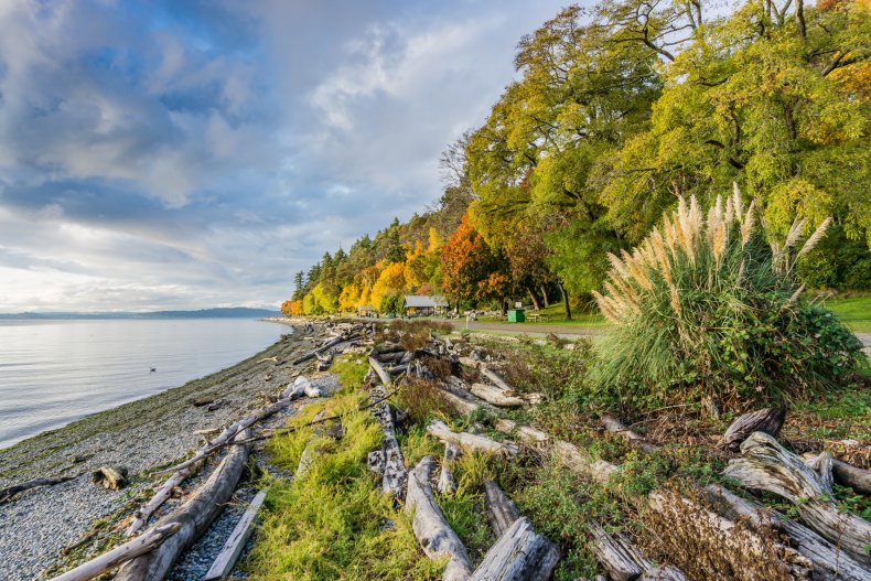Seattle beach suitcase murder