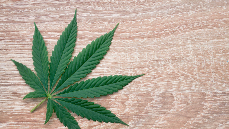 Newsweek AMPLIFY Hemp Oil for Allergies
