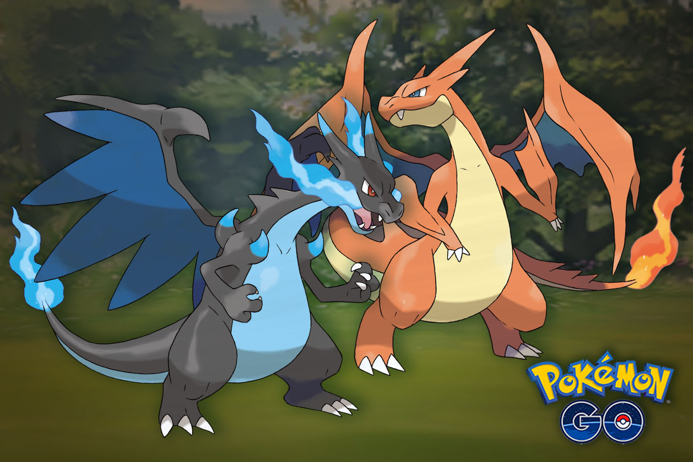 Gazooks! Pokémon Favourite Charizard Can Mega Evolve Into X And Y