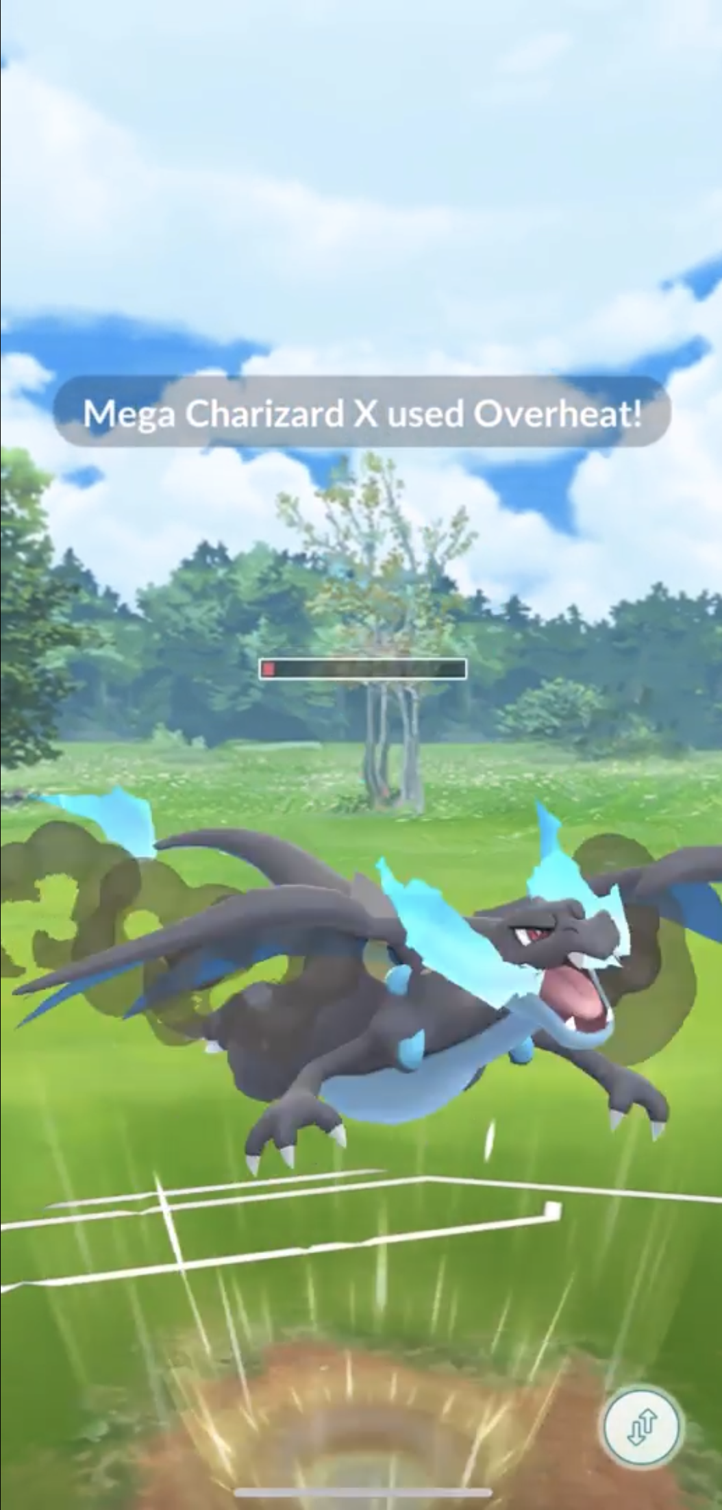 Mega Charizard X And Y Type Swap - 4 Types. 