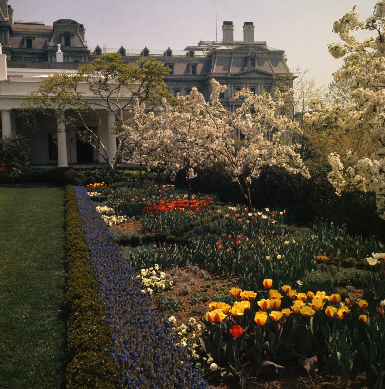 Rose Garden