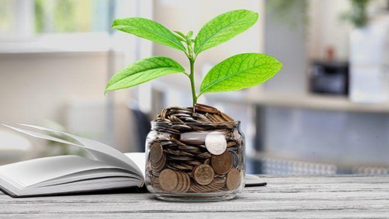 Newsweek Amplify - Invest Your Savings
