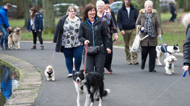 Newsweek Amplify - Community of Dog Parents