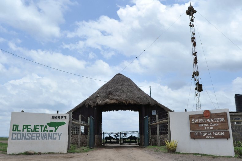 Ol pejeta