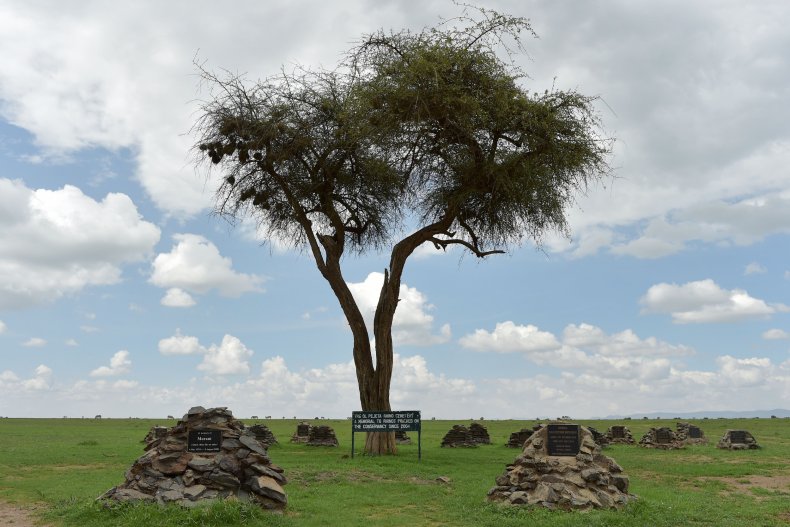 Rhino memorial