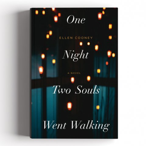 CUL_Books_Fiction_One Night Two Souls Went Walking