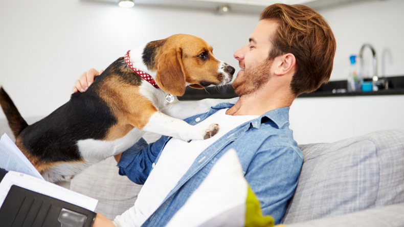 Newsweek AMPLIFY Eusoh Alternative to Pet Insurance