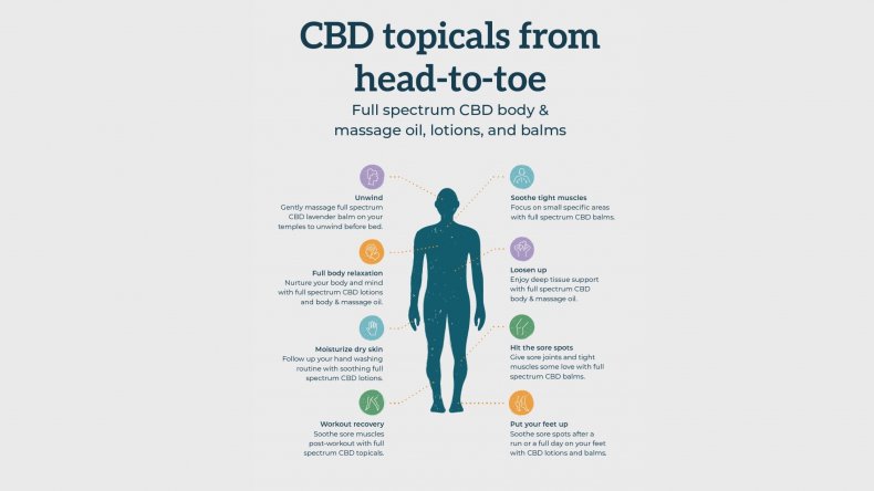Newsweek AMPLIFY 3 All-Natural CBD Topicals