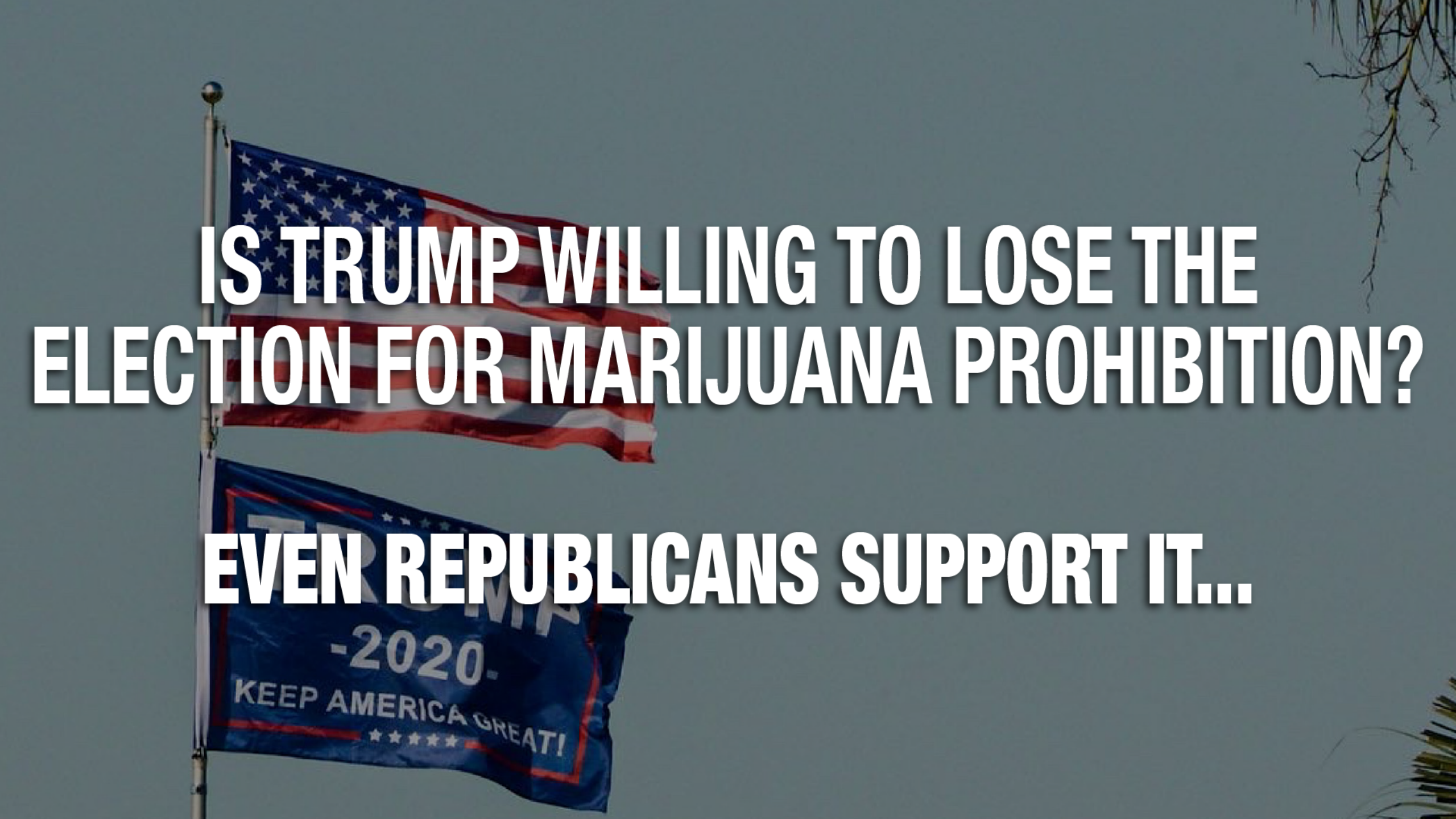 Newsweek AMPLIFY - Is Trump Willing To