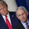 anthony fauci, donald trump, white house, getty