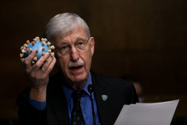 francis collins, coronavirus, covid-19, NIH, getty