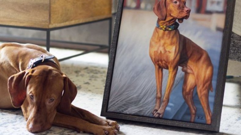 Newsweek AMPLIFY One-of-a-Kind Gift for Pet Lovers Newsweek AMPLIFY One-of-a-Kind Gift for Pet Lovers