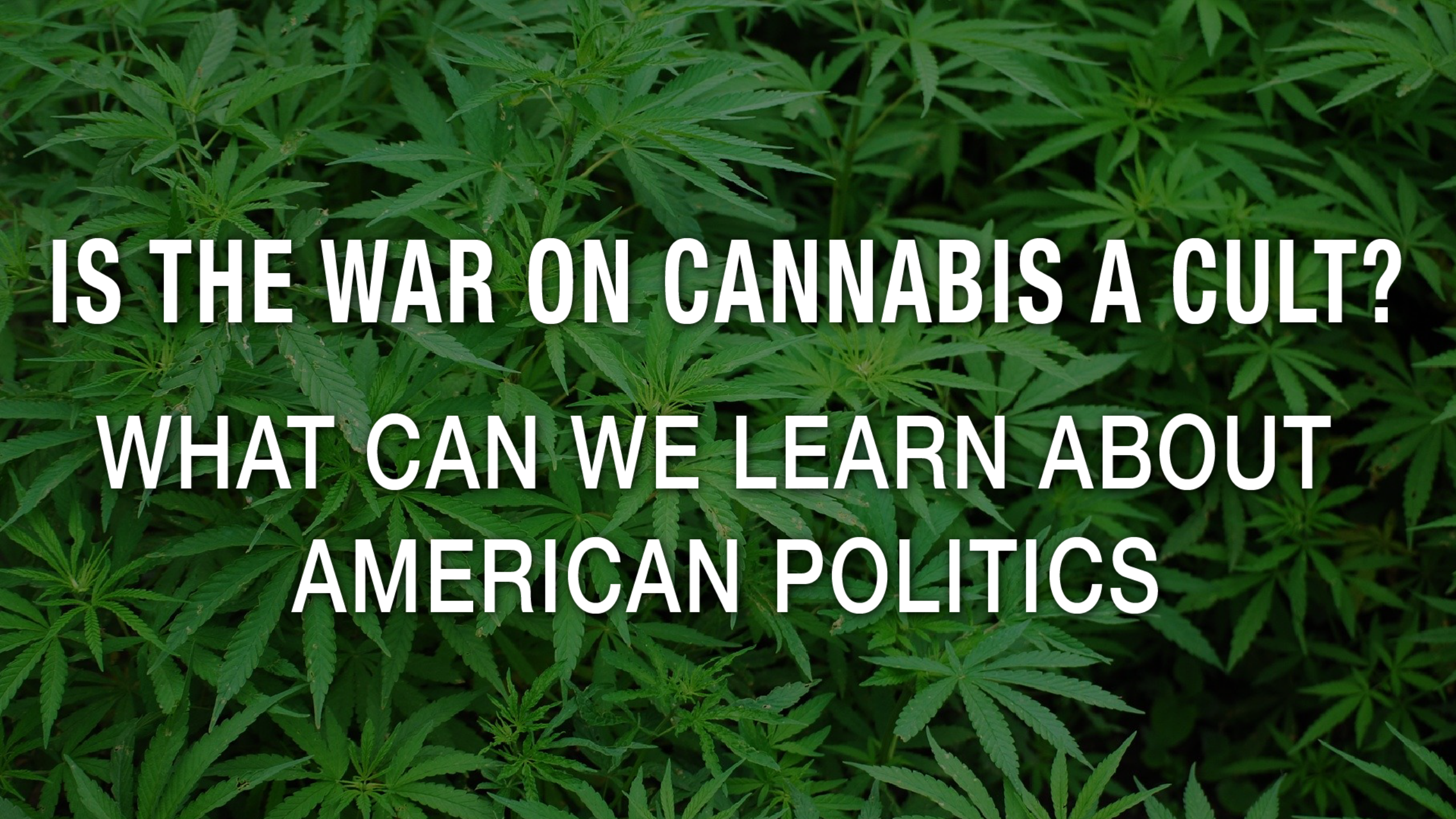 Newsweek AMPLIFY - War On Cannabis Newsweek AMPLIFY - War On Cannabis