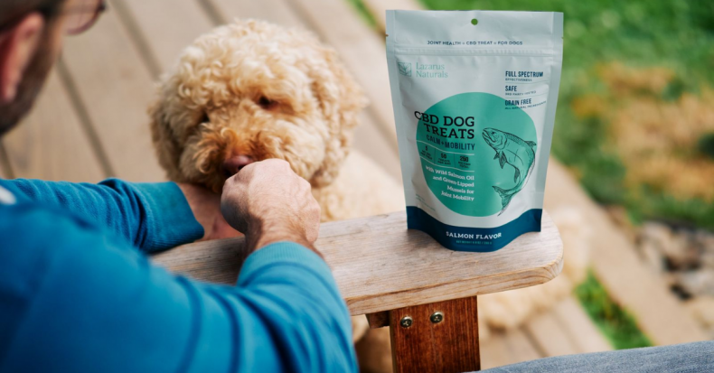 Newsweek AMPLIFY - CBD for Pets Newsweek AMPLIFY - CBD for Pets