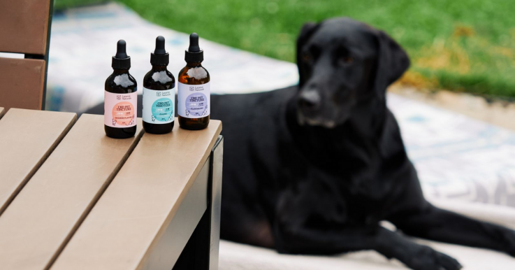 Newsweek AMPLIFY - CBD for Pets Newsweek AMPLIFY - CBD for Pets