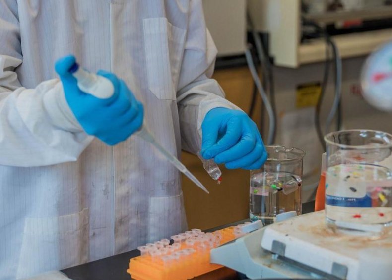 #87. Bioengineers and biomedical engineers