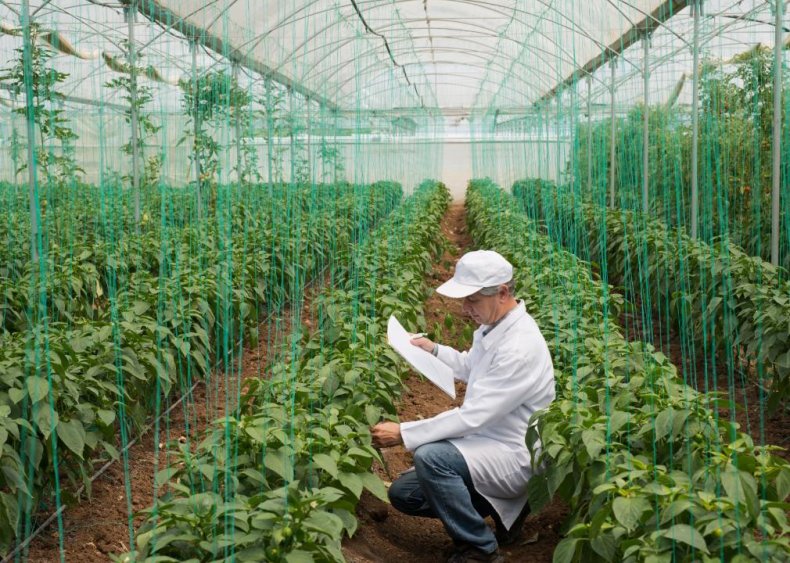 #83. Agricultural engineers