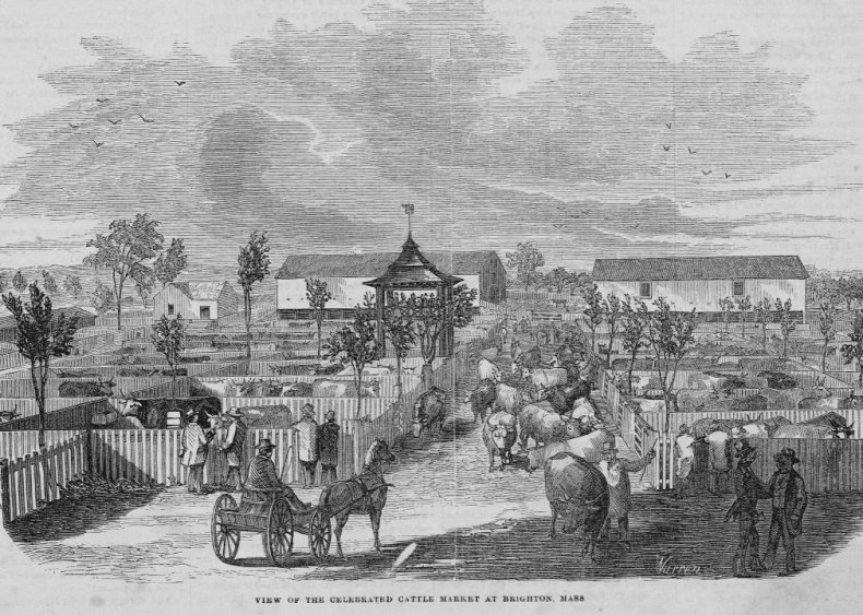 1742: Boston emerges as America’s meatpacking hub