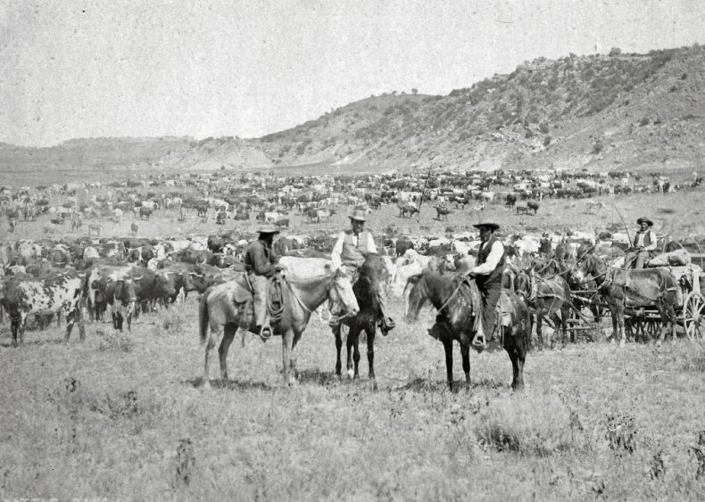 Mid-1800s: Cattle becomes king