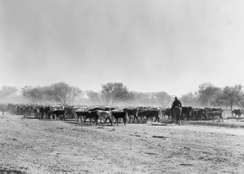 1898: National Live Stock Growers Association