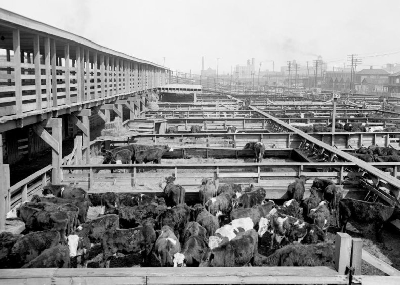 1906: Upton Sinclair publishes 'The Jungle'