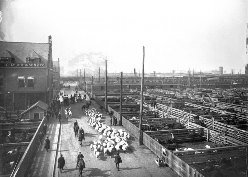 1921: Packers and Stockyards Act