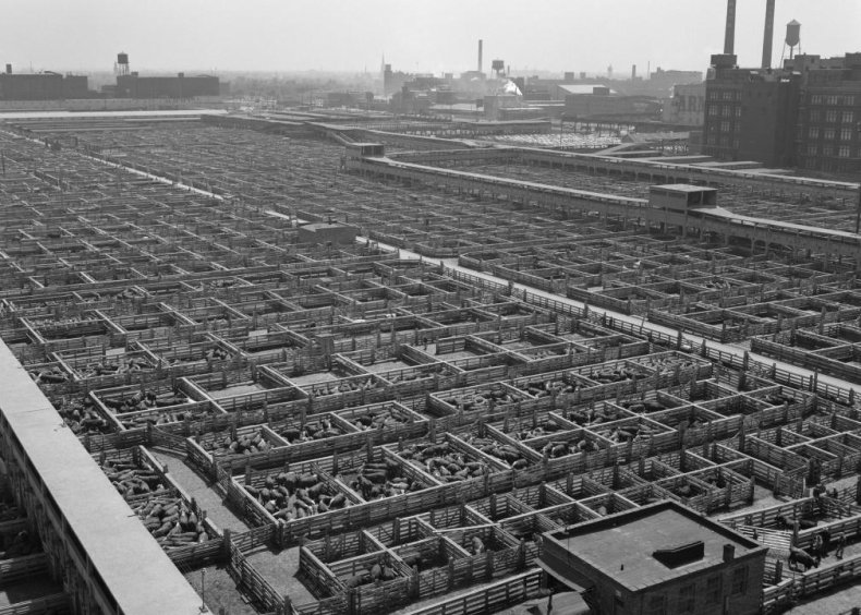1971: Chicago stockyards close